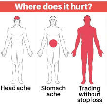 오늘 바이킹스 첫 짤