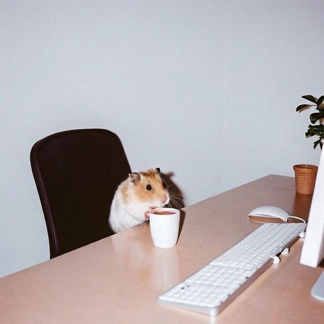 🐿️..역시 내가 들어가니까.. (할인 지금이니?)