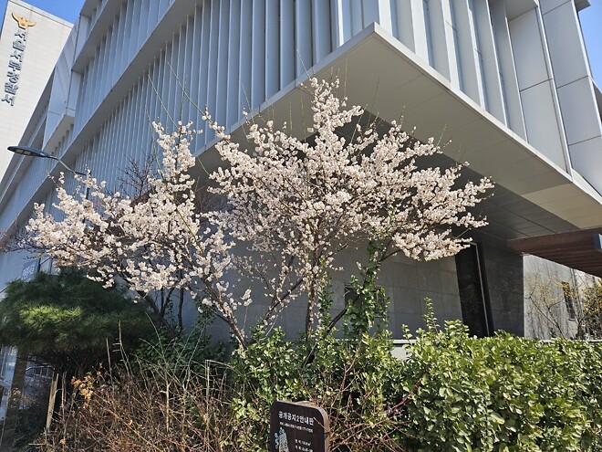 오늘의 등산-북한산 백운대