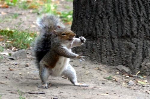 🐿️..친구들은 다 자고 있어서 여기에 주절주절... (아마도 펑예..?)