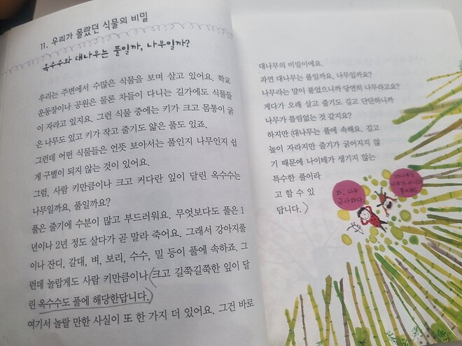 대나무는 나무일까!? 풀일까?!