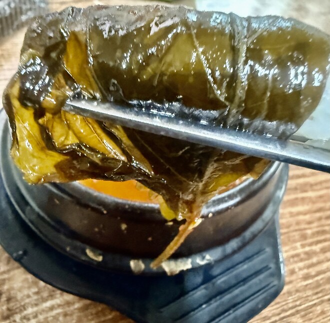 이 집 낙엽 맛집이네