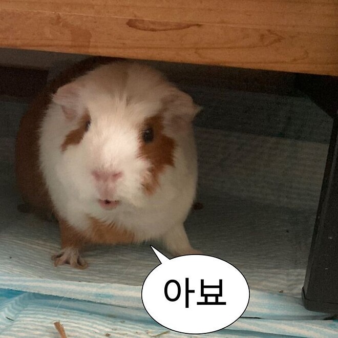 핫바플레이팅 2일차..