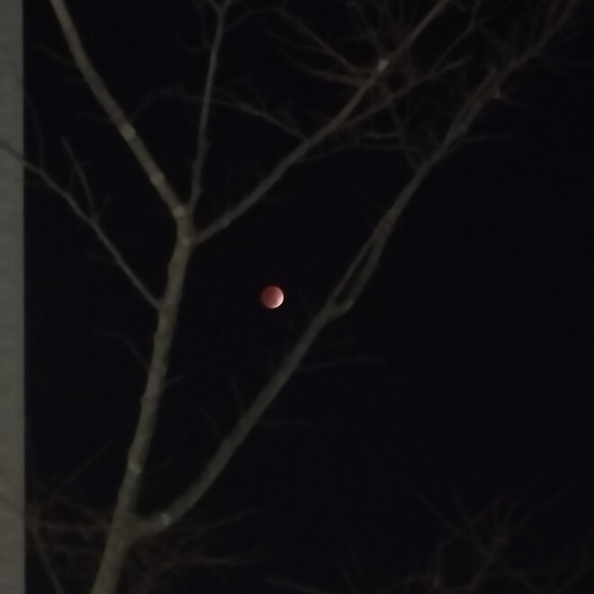 달 달 달 무슨달&hellip;