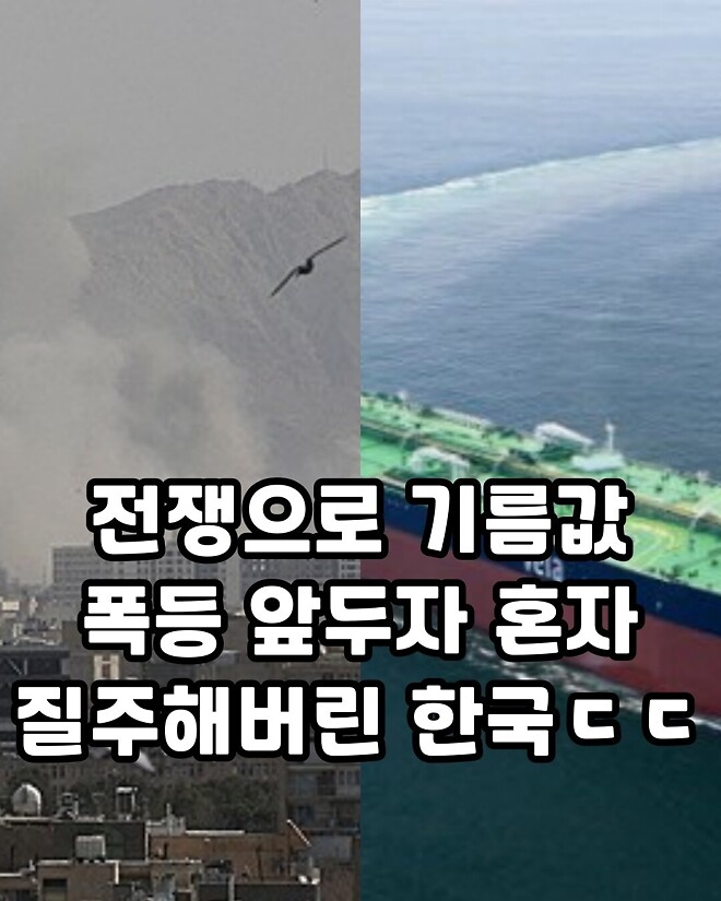 유머)국가번호 82의 속도