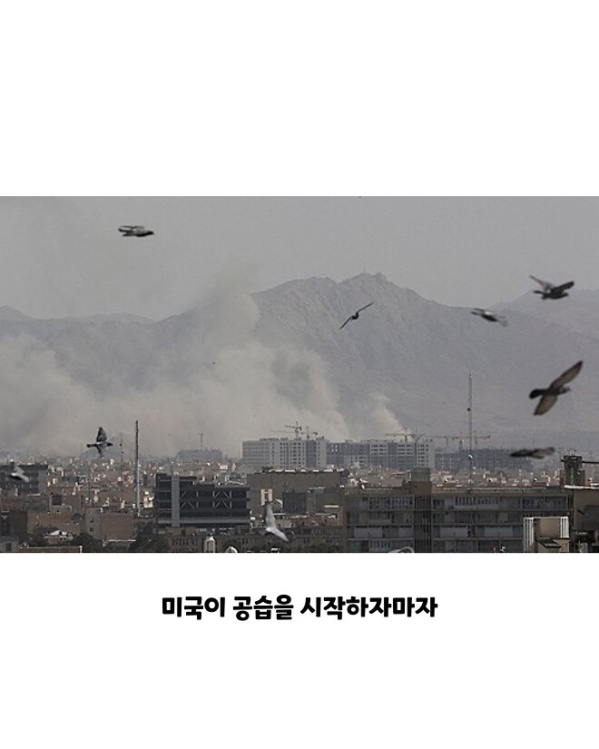 유머)국가번호 82의 속도