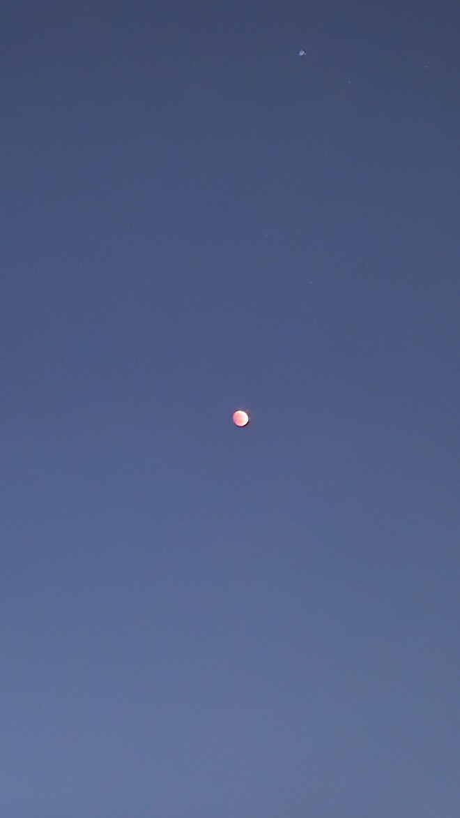 달 보고 왔어요.