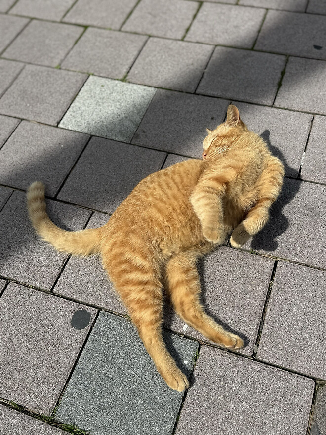 이런 날에는 어떤 글을 올려도 다 좋아요 맞죠?