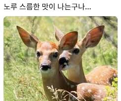 트럼프 막내아들 근황