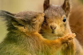 트럼프 막내아들 근황