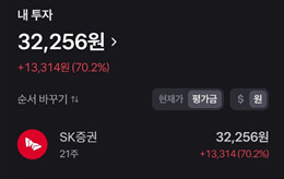 현재 계좌 수익 또는 손해 투표