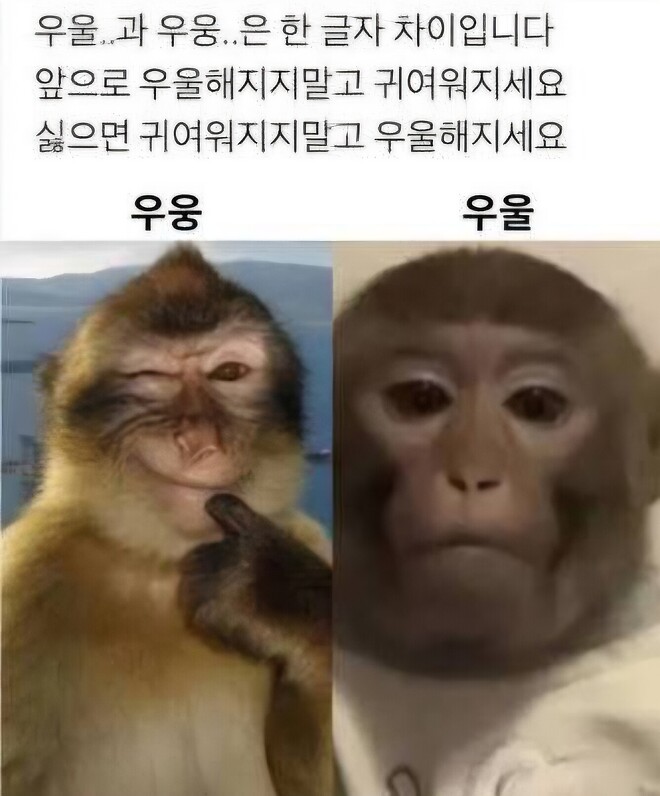 🐿️..월요일 10% 얏-호, 수요일 -15%...웃겨죽겟슨