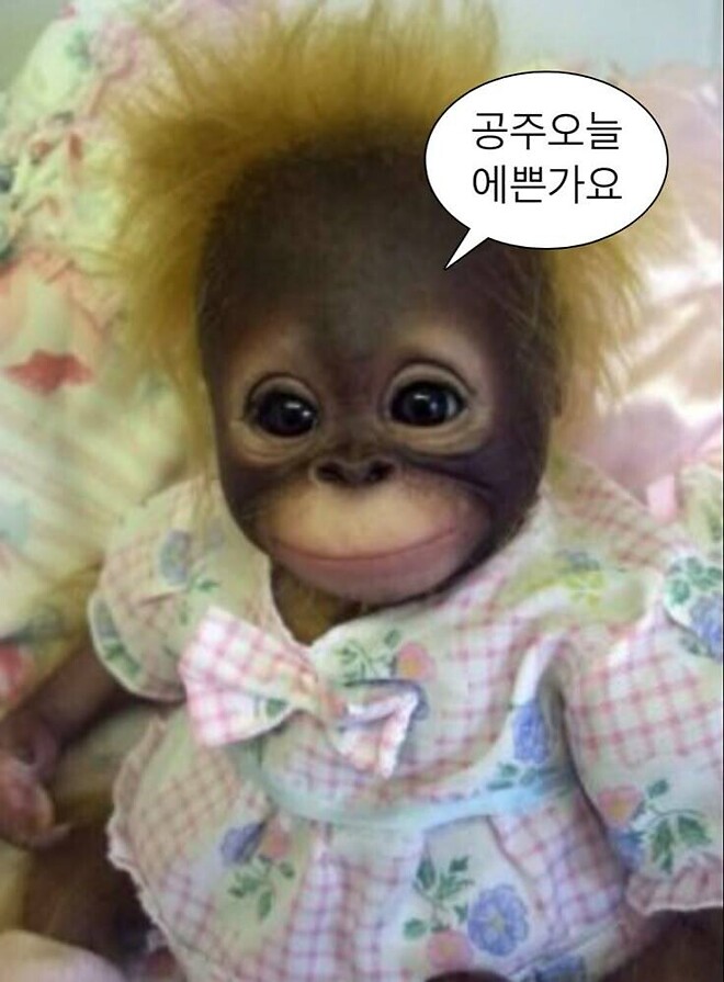 🐿️..월요일 10% 얏-호, 수요일 -15%...웃겨죽겟슨