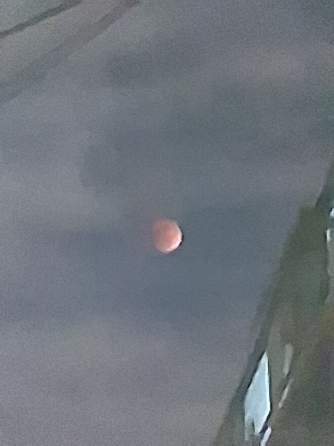 달이 왤케 크죠?