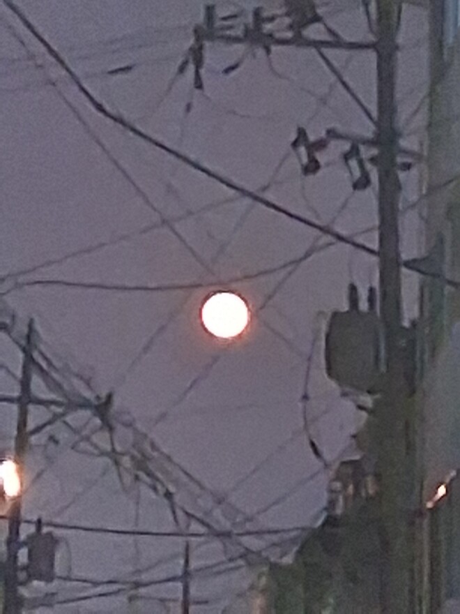 달이 왤케 크죠?