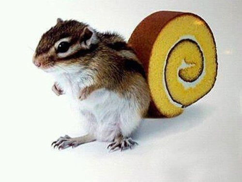 요즘 게임주는 엠바고 해제 기대감 해소도 있음?