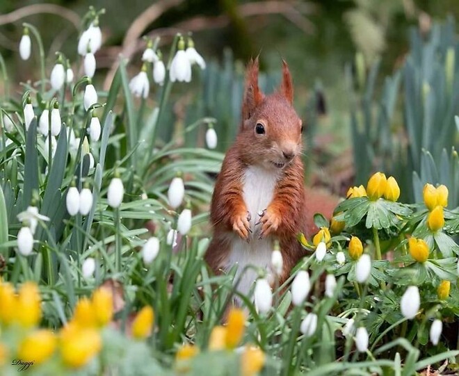 오늘은 경칩입니다 !