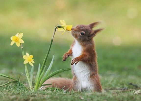 오늘은 경칩입니다 !