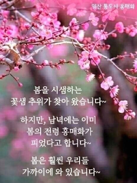 오늘은 경칩입니다 !