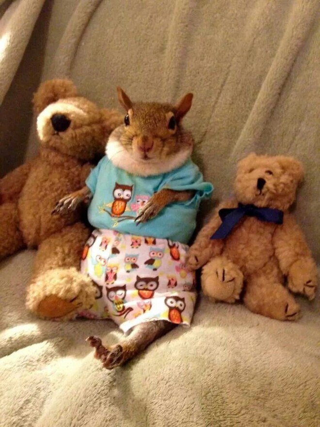 🐿️..위폴러들의 퇴근 후 일상 루틴은..?!