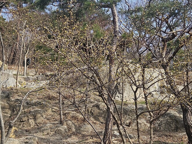 오늘의 등산-인왕산