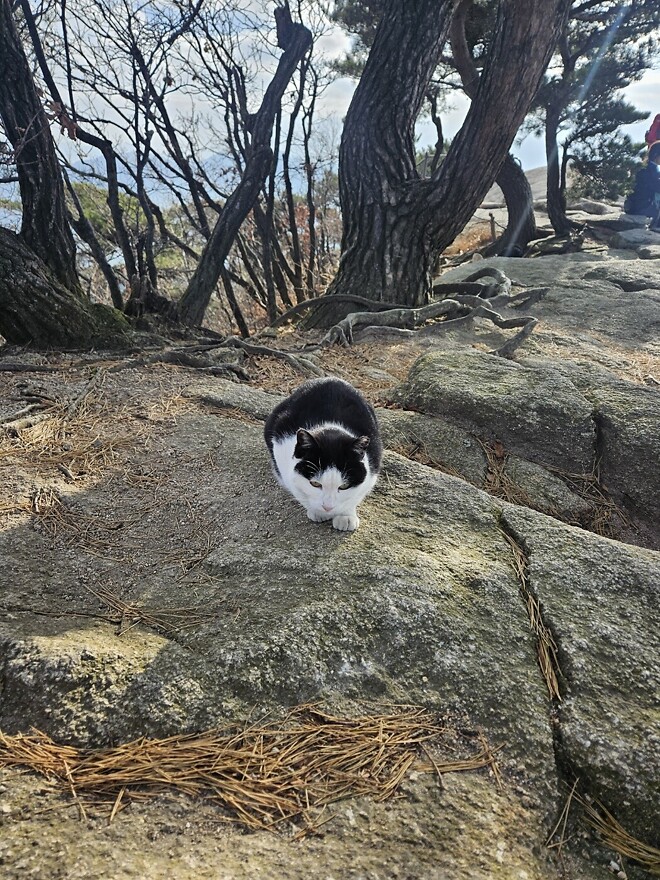 오늘의 등산-인왕산