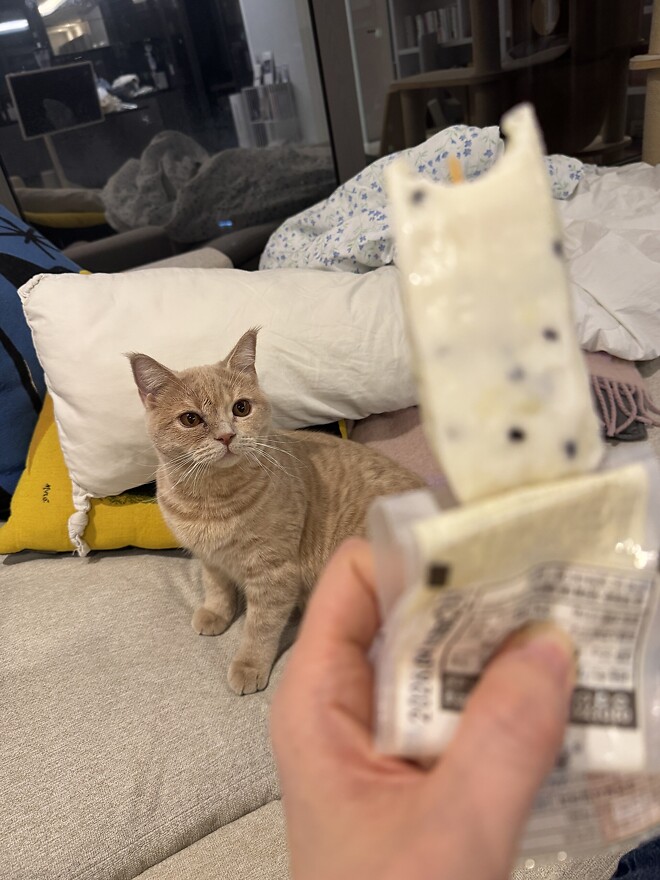 고래바 먹을 때마다 부작용