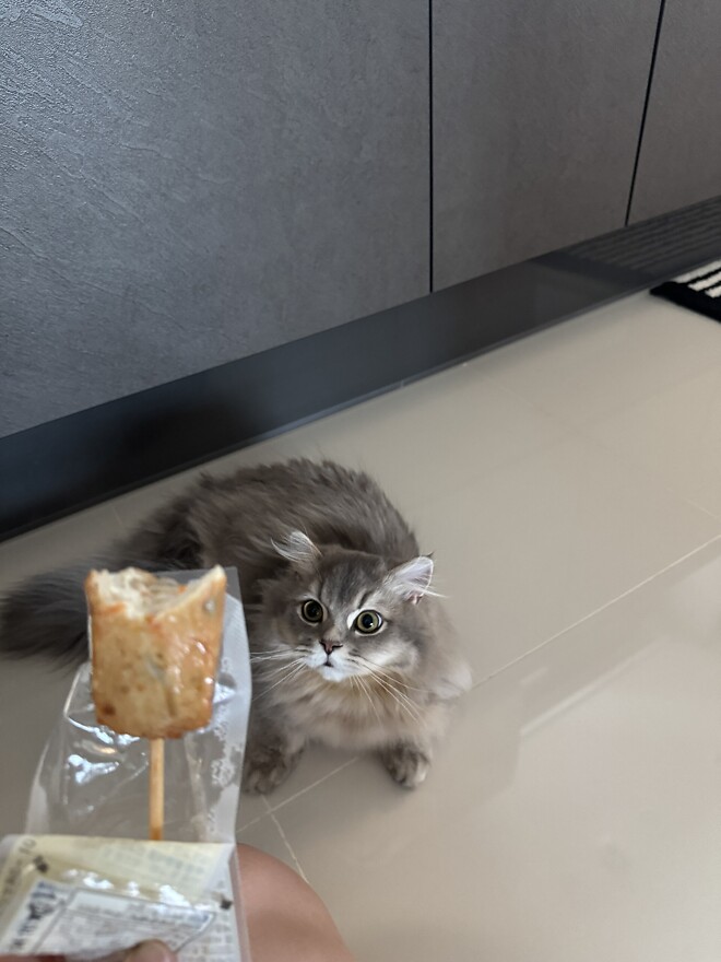 고래바 먹을 때마다 부작용