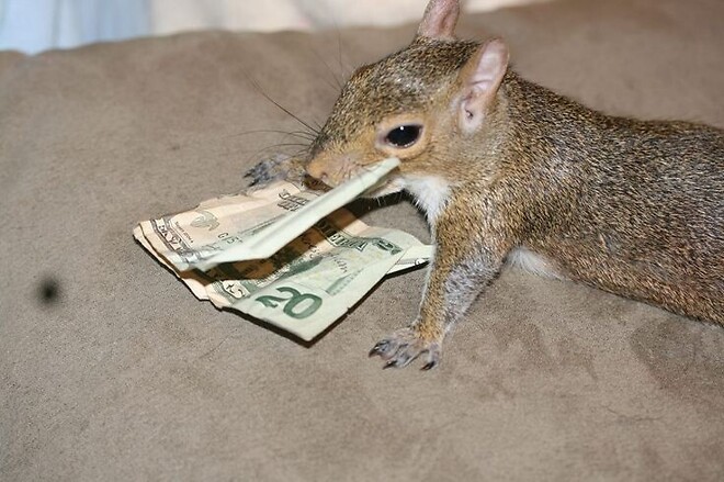 🐿️.. 메가커피 아아 1,500원 (무려 100원이 더 저렴해졌ㄷ ㅏ!)