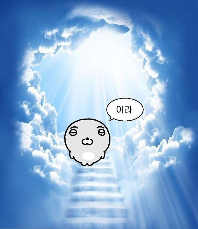 와 또 오후에 말아올릴까봐 안팔고있었더니