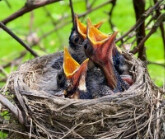 삼전 200,000원에 매물대 120만개