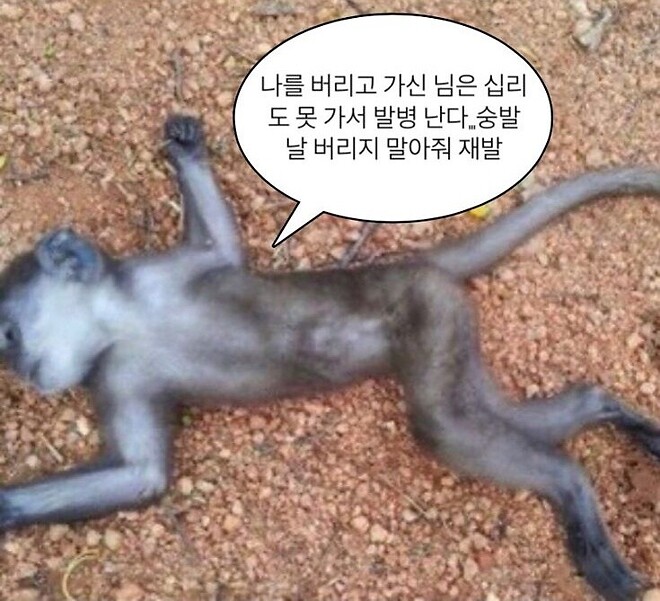 후 19만 애개뤼 쩌억 무찔럿네요