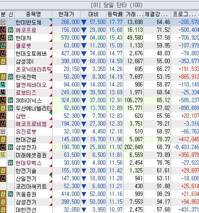 개미들 제대로 터네...ㄷㄷㄷ