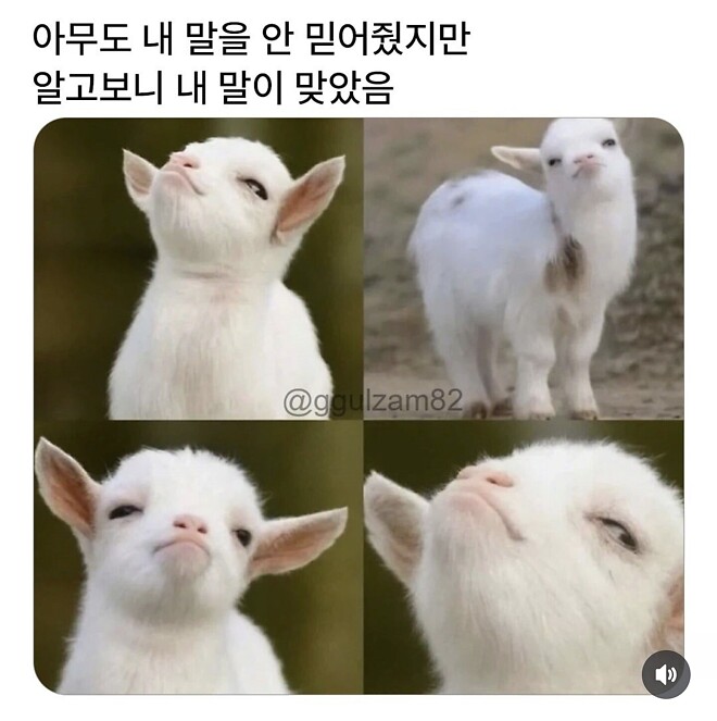 현대차 내일 상승각?