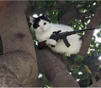 원유 해결안되면 주식은 계속 떨어질거 같아요..