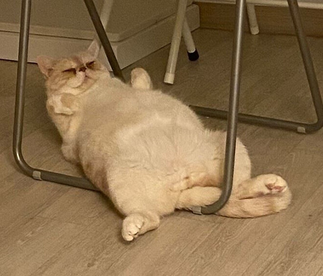 에라이 하루만 더보자 (눕)