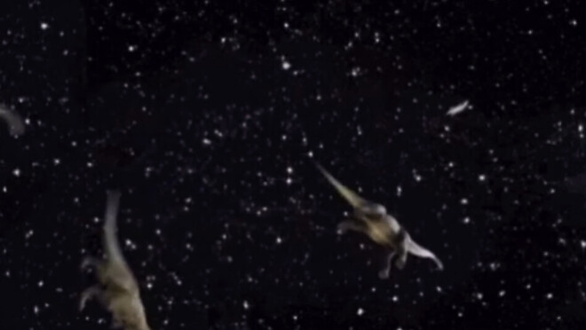 지구는 평평하다고!! 엉엉~~!