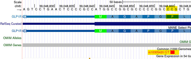 위고비가 잘 먹히는 유전자