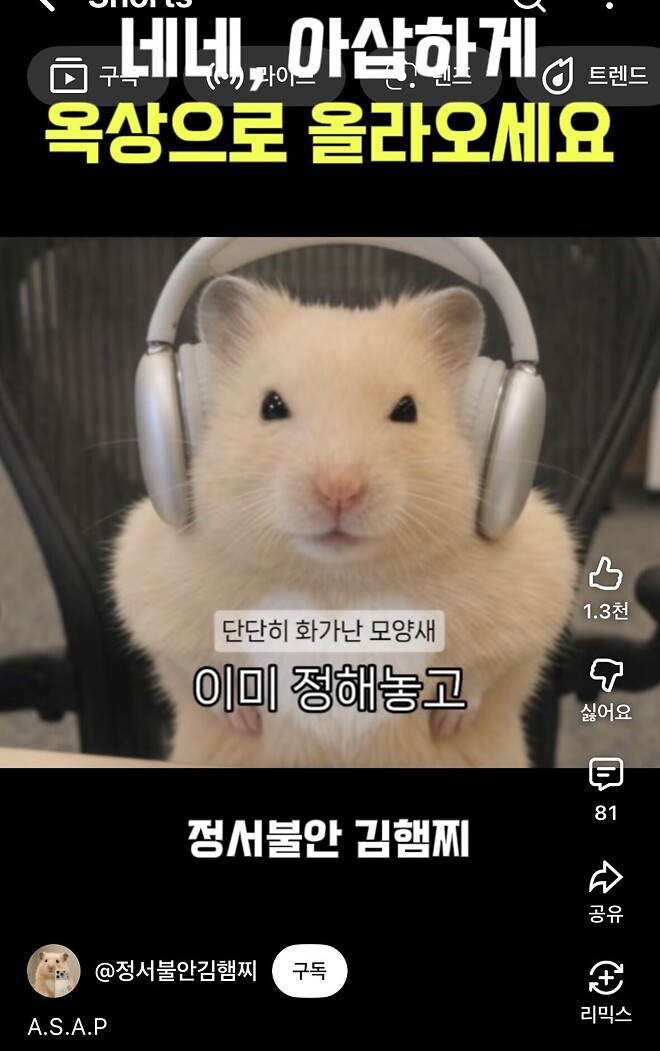 너 눈을 왜 세모로 떠?