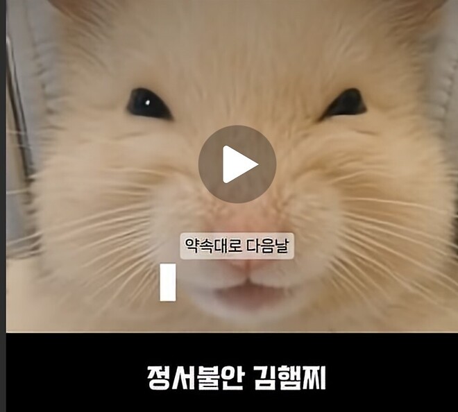 너 눈을 왜 세모로 떠?