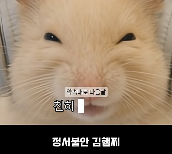 너 눈을 왜 세모로 떠?