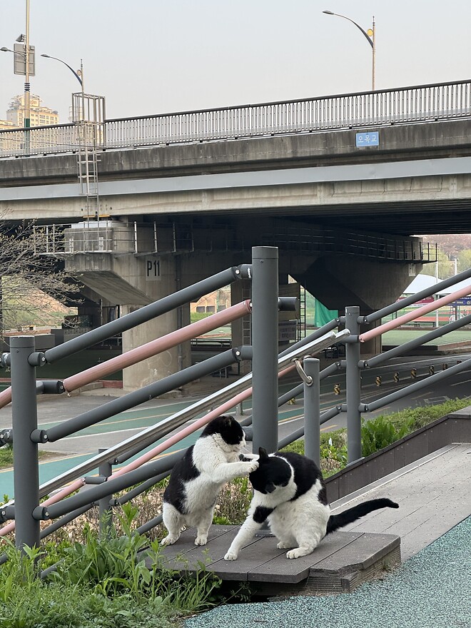 오늘도 런런🏃