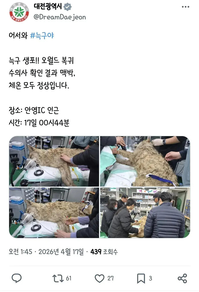 늑구 is back ☕️