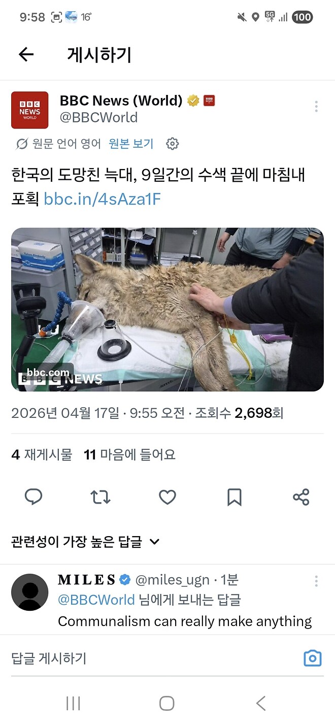 늑구 비비씨 진출~~~~