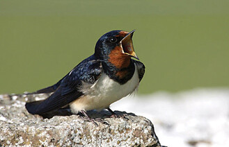 2D에도 사람이 있다니까???