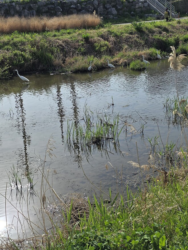 평화로운 토요일이네요