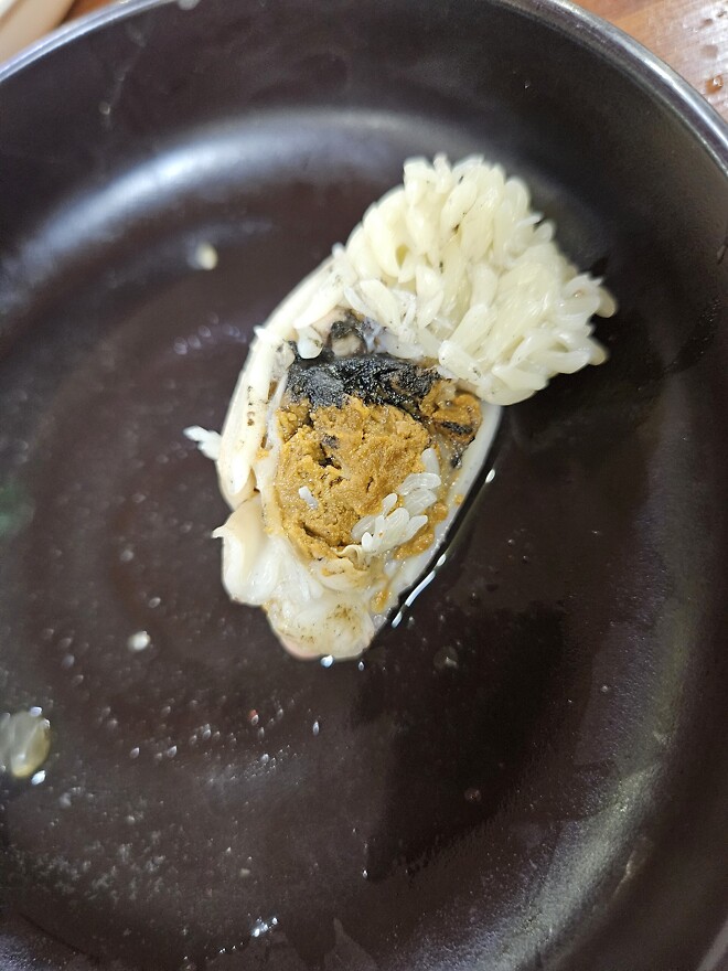 아마도 생전 처음, 쭈꾸미라는 것을