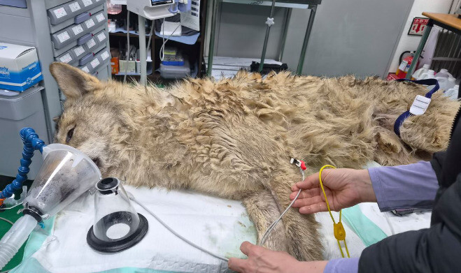 🦐)슈카월드 주제예측