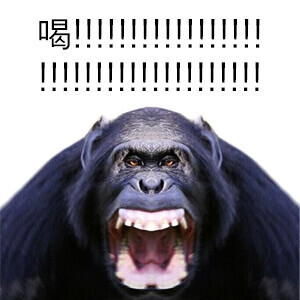 아이씨 지난주 풀스윙했는데 파울이네?