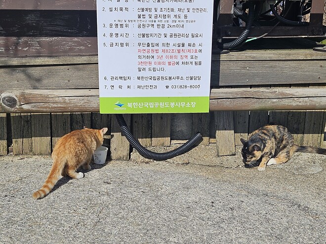 오늘의 등산